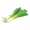 Organic Leek bunch